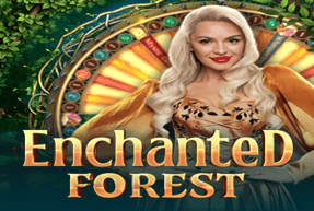 Enchanted Forest